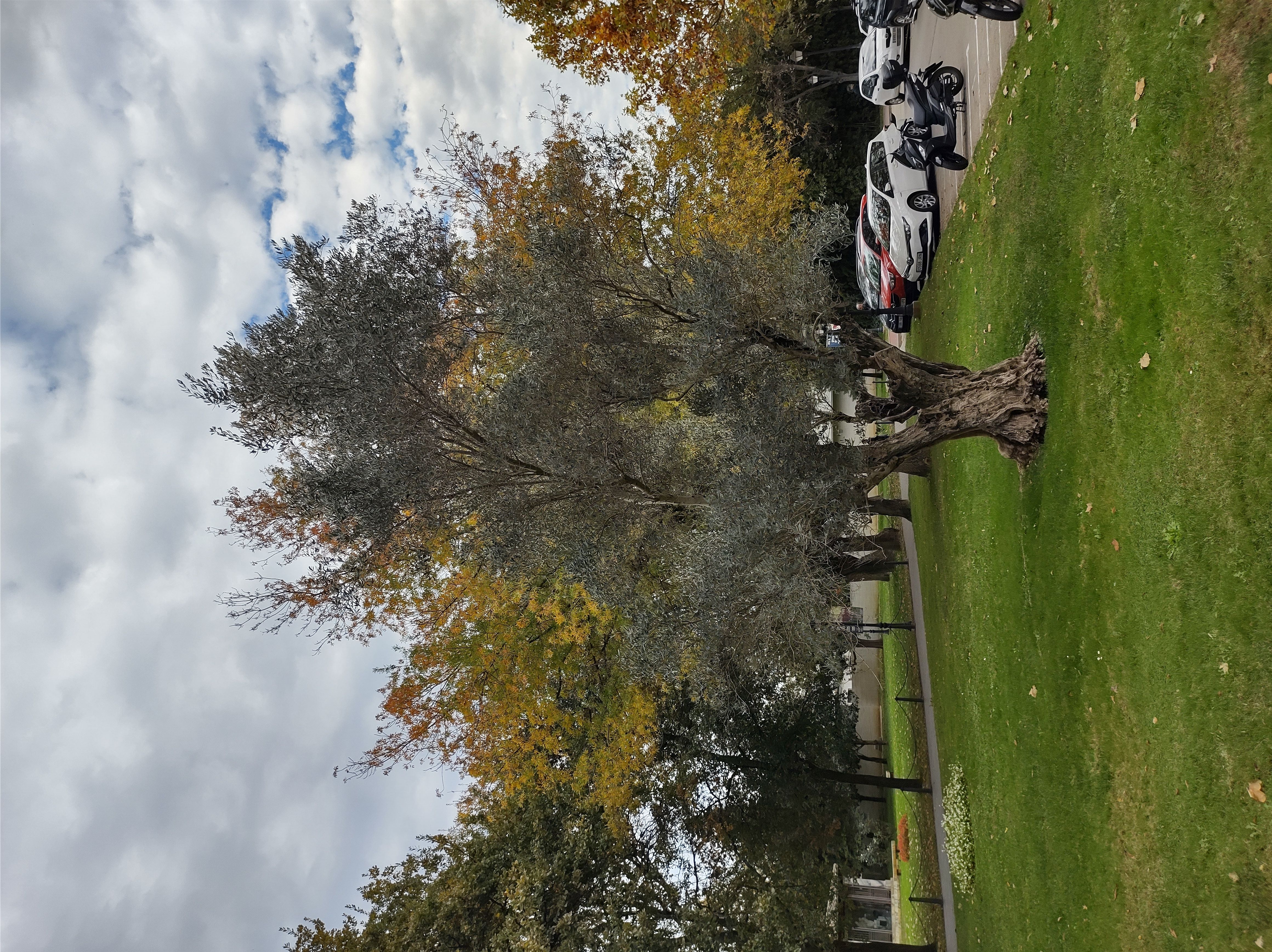 No s'ha trobat l'arxiu